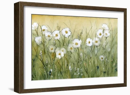 Daisy Spring II-Tim O'toole-Framed Art Print