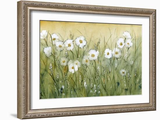 Daisy Spring II-Tim OToole-Framed Art Print