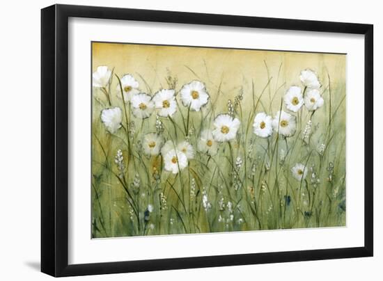 Daisy Spring II-Tim OToole-Framed Art Print