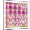 Daisy Trellis-Pamela A. Johnson-Mounted Giclee Print