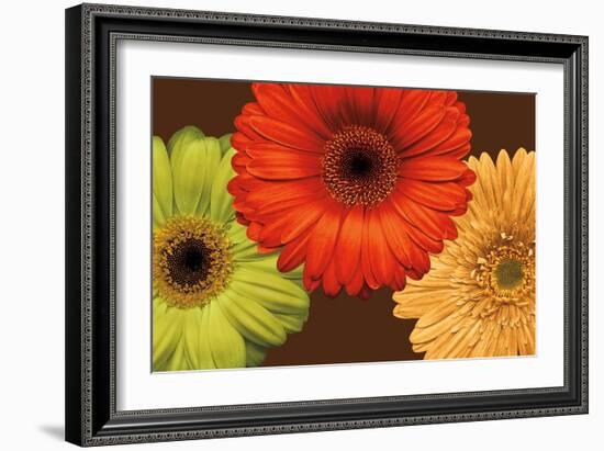 Daisy Trio-Lindsay Blake-Framed Art Print