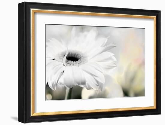 Daisy-Karin Connolly-Framed Art Print