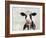 Daisy-Mark Chandon-Framed Giclee Print