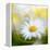 Daisy-Philippe Sainte-Laudy-Framed Premier Image Canvas