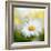 Daisy-Philippe Sainte-Laudy-Framed Photographic Print