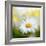 Daisy-Philippe Sainte-Laudy-Framed Photographic Print