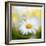 Daisy-Philippe Sainte-Laudy-Framed Photographic Print