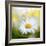 Daisy-Philippe Sainte-Laudy-Framed Photographic Print