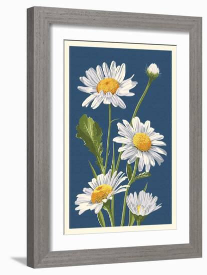 Daisy-Lantern Press-Framed Art Print