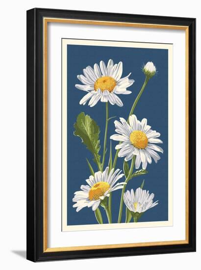 Daisy-Lantern Press-Framed Art Print