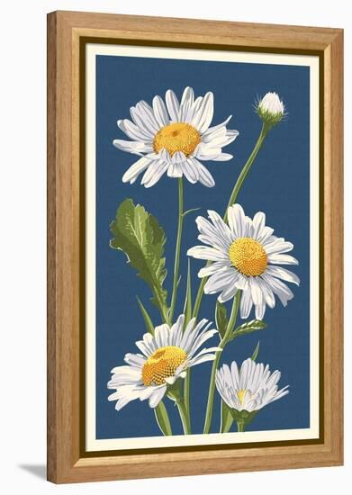 Daisy-Lantern Press-Framed Stretched Canvas