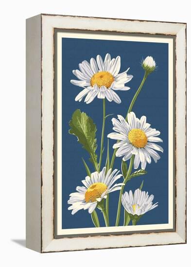 Daisy-Lantern Press-Framed Stretched Canvas