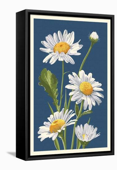 Daisy-Lantern Press-Framed Stretched Canvas
