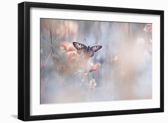 Dakinis Are Watching Over Us-Fabien Bravin-Framed Giclee Print