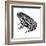 Dakota Toad (Bufo Hemiophrys), Amphibians-Encyclopaedia Britannica-Framed Art Print