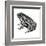 Dakota Toad (Bufo Hemiophrys), Amphibians-Encyclopaedia Britannica-Framed Art Print