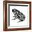 Dakota Toad (Bufo Hemiophrys), Amphibians-Encyclopaedia Britannica-Framed Art Print