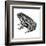 Dakota Toad (Bufo Hemiophrys), Amphibians-Encyclopaedia Britannica-Framed Art Print