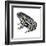 Dakota Toad (Bufo Hemiophrys), Amphibians-Encyclopaedia Britannica-Framed Art Print