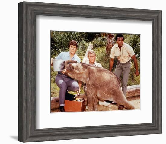 Daktari-null-Framed Photo