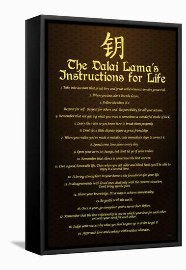 Dalai Lama, Instructions For Life-null-Framed Stretched Canvas