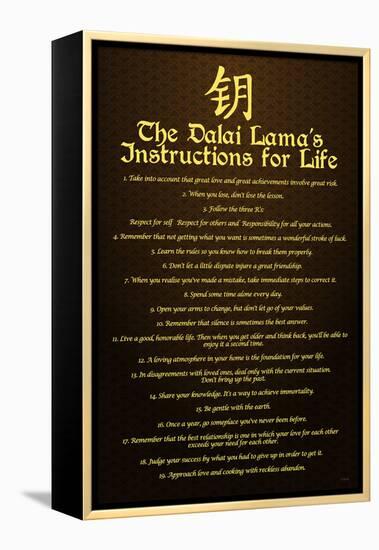 Dalai Lama, Instructions For Life-null-Framed Stretched Canvas