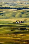 Palouse #27-Dale O’Dell-Framed Photographic Print