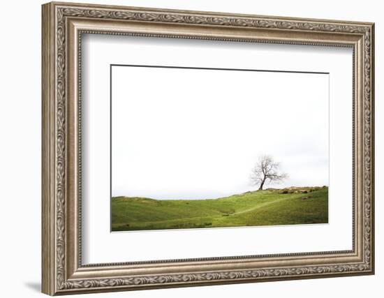 Dales Way I-Laura Marshall-Framed Photographic Print