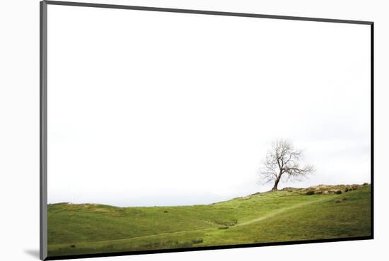 Dales Way I-Laura Marshall-Mounted Photographic Print