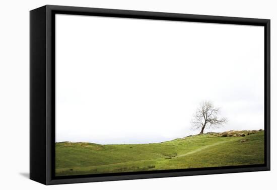 Dales Way I-Laura Marshall-Framed Premier Image Canvas