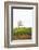 Dales Way II-Laura Marshall-Framed Photographic Print