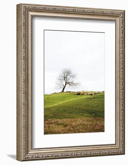 Dales Way II-Laura Marshall-Framed Photographic Print