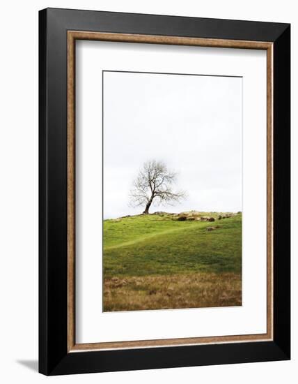 Dales Way II-Laura Marshall-Framed Photographic Print