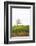 Dales Way II-Laura Marshall-Framed Photographic Print