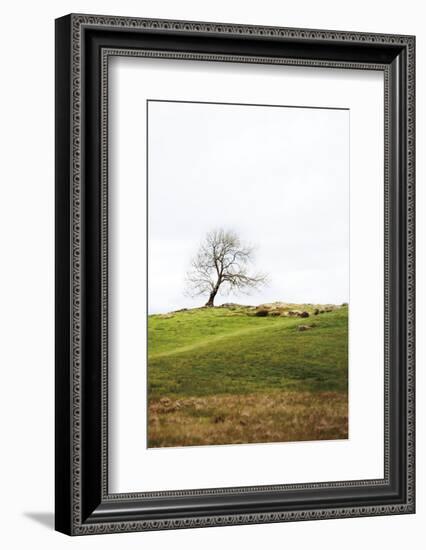 Dales Way II-Laura Marshall-Framed Photographic Print