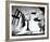 Dali Atomicus-Philippe Halsman-Framed Art Print