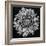 Dalia 2 Phaseone Stack Bw-Moises Levy-Framed Photographic Print