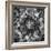 Dalia Full-Moises Levy-Framed Photographic Print