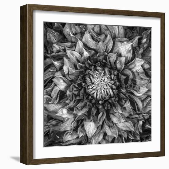 Dalia Full-Moises Levy-Framed Photographic Print