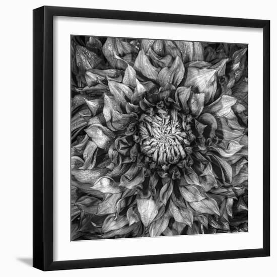 Dalia Full-Moises Levy-Framed Photographic Print