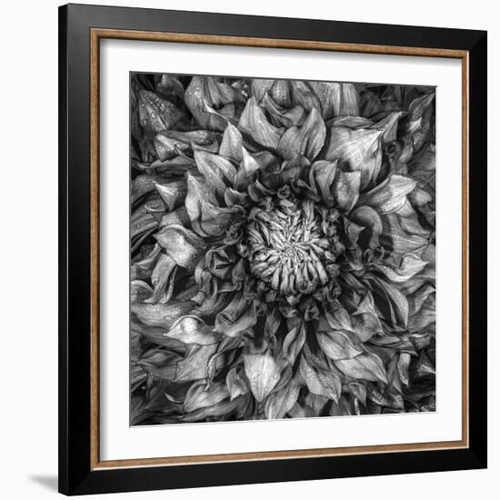 Dalia Full-Moises Levy-Framed Photographic Print