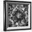 Dalia Full-Moises Levy-Framed Photographic Print