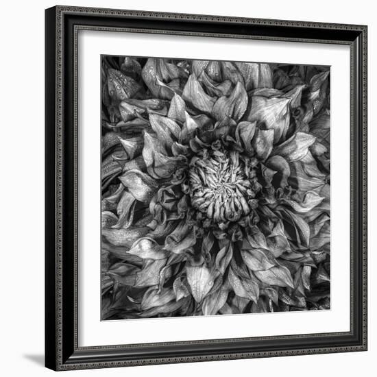 Dalia Full-Moises Levy-Framed Photographic Print