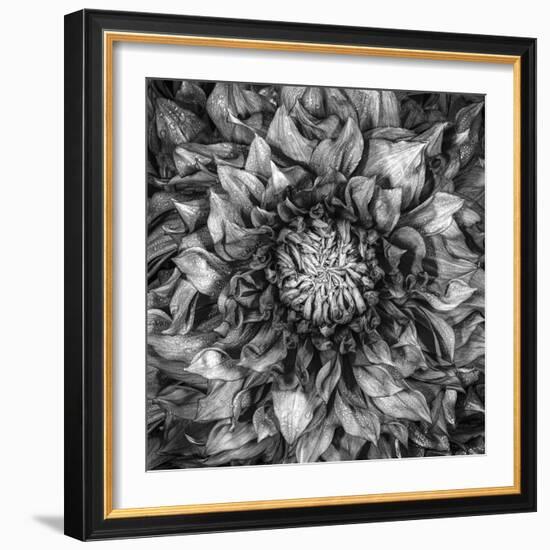 Dalia Full-Moises Levy-Framed Photographic Print