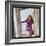 Dalida Posing on a Beach-Therese Begoin-Framed Photographic Print