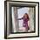 Dalida Posing on a Beach-Therese Begoin-Framed Photographic Print