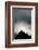 Dall's Sheep on Cliff at Sunset-Paul Souders-Framed Photographic Print