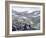 Dall Sheep at Denali-Jeff Tift-Framed Giclee Print