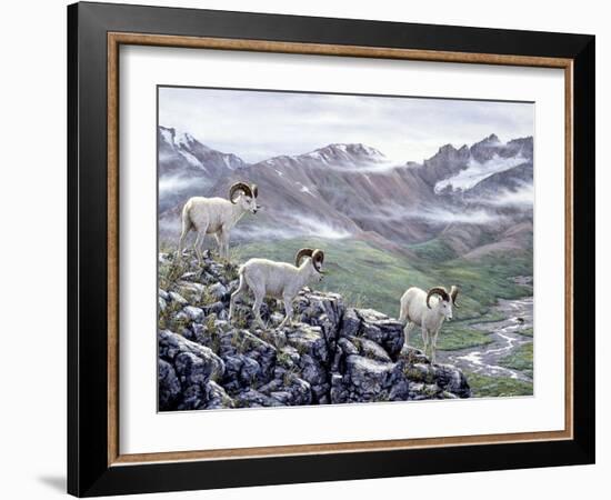 Dall Sheep at Denali-Jeff Tift-Framed Giclee Print