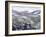 Dall Sheep at Denali-Jeff Tift-Framed Giclee Print